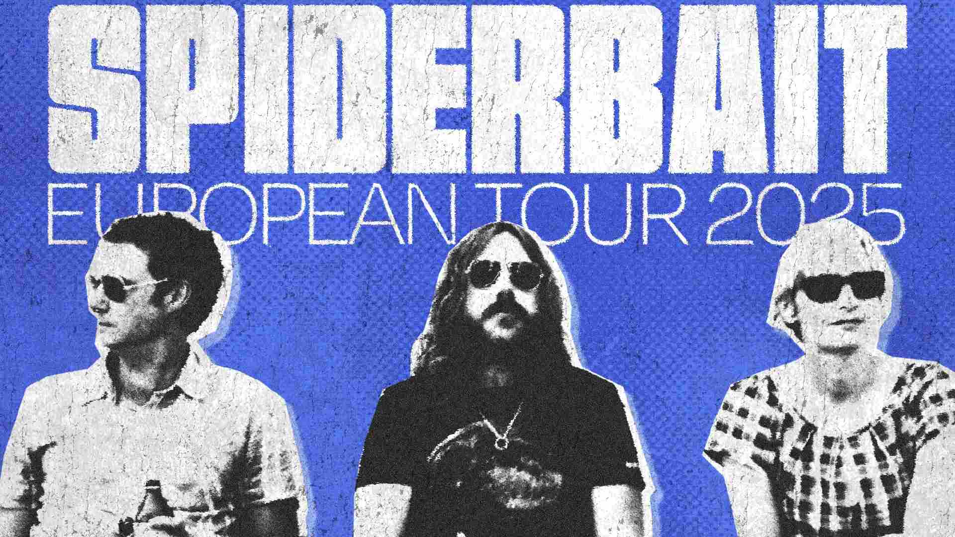 Spiderbait