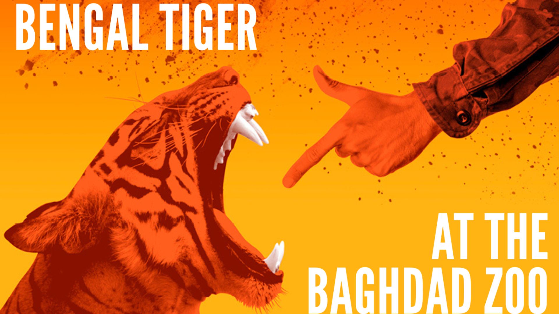 Bengal Tiger at the Baghdad Zoo - Tickets from £25