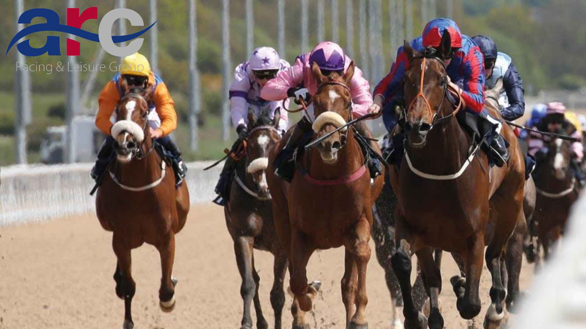 ARC Summer Racedays & Racenights<br>Access Fee Only